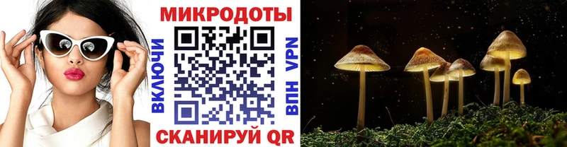 Псилоцибиновые грибы Psilocybine cubensis  Козьмодемьянск 